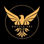site-logo image